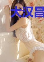 大汉昌邑王