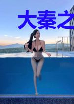 大秦之无双盗帅