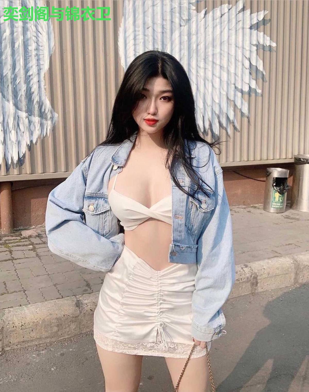 奕剑阁与锦衣卫