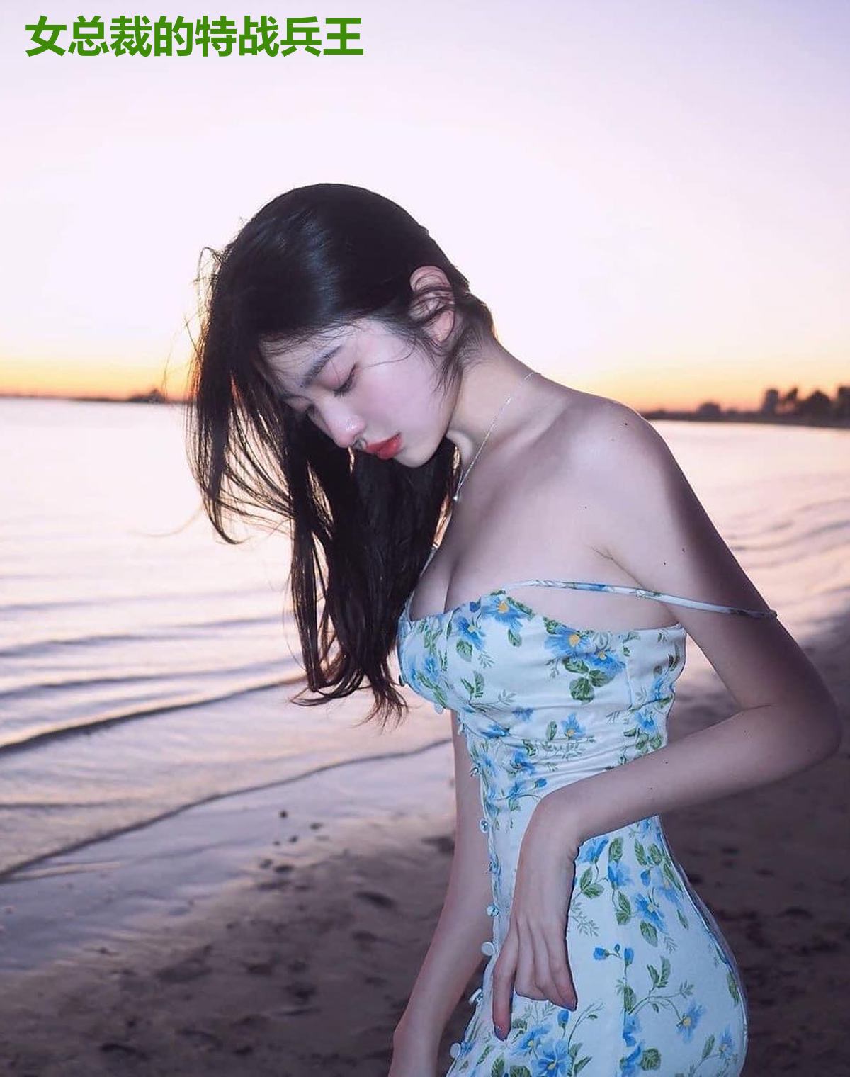 女总裁的特战兵王