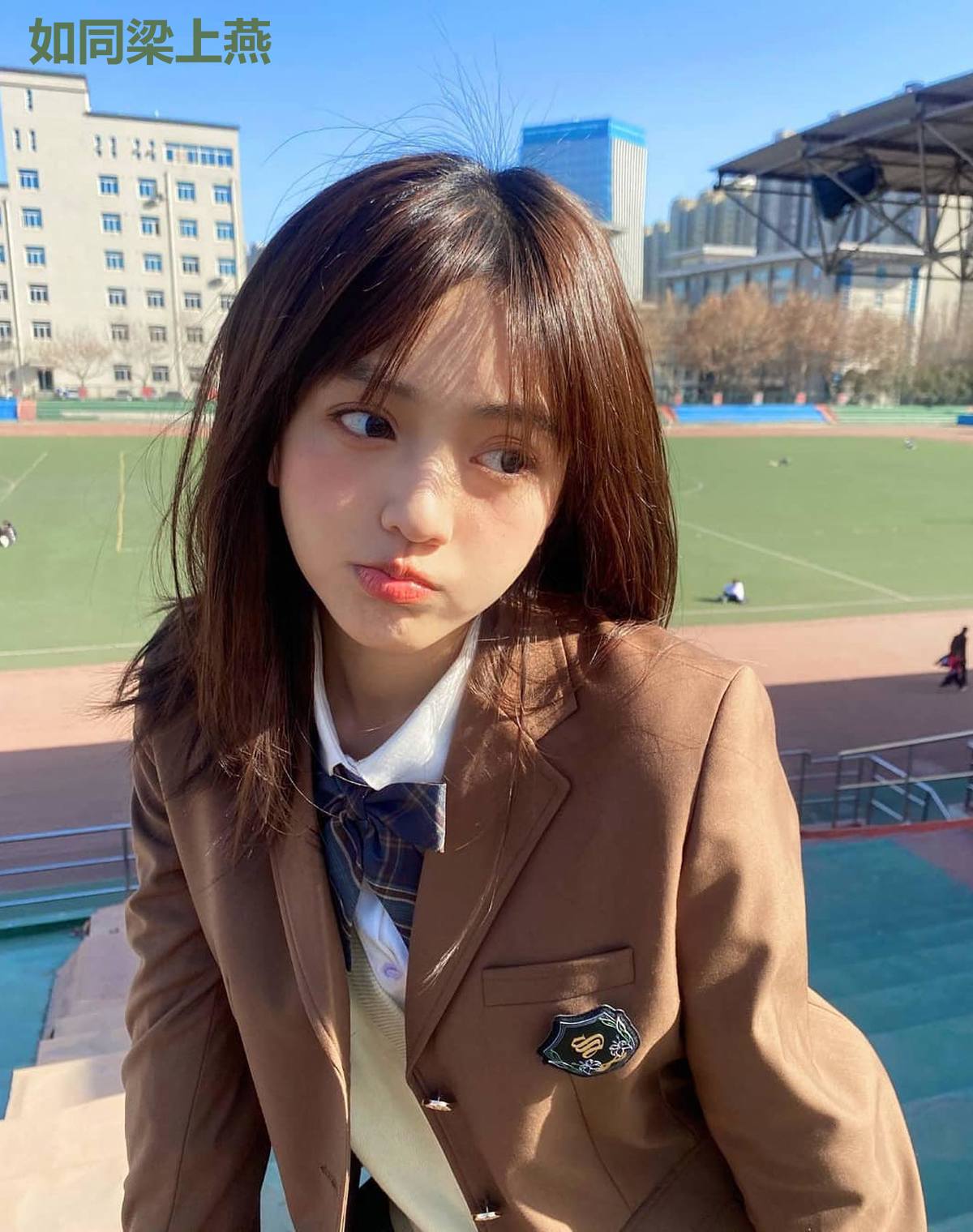 如同梁上燕