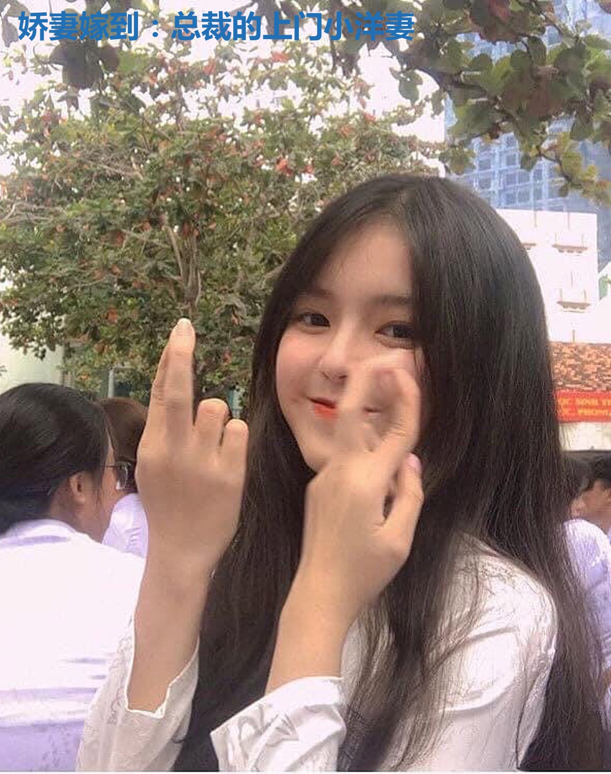 娇妻嫁到：总裁的上门小洋妻