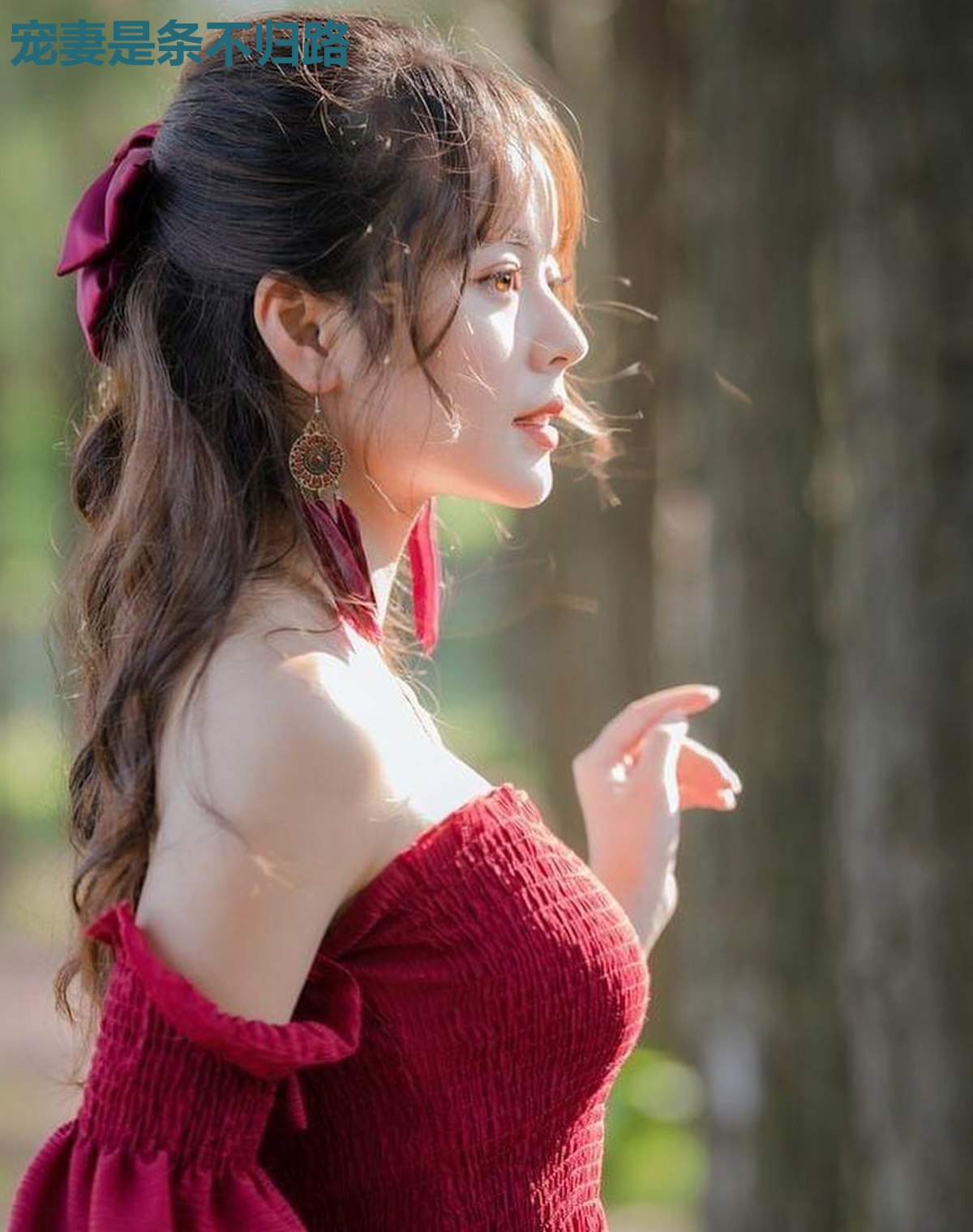 宠妻是条不归路