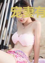 宠妻有道：追爱999天