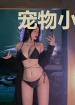 宠物小精灵之奇幻冒险