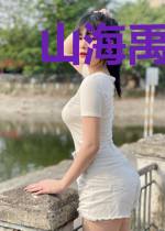 山海禹皇记