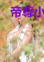 帝尊小祖宗她无法无天