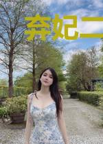 弃妃二嫁，王爷请接休书