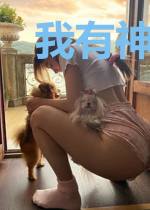 我有神豪系统