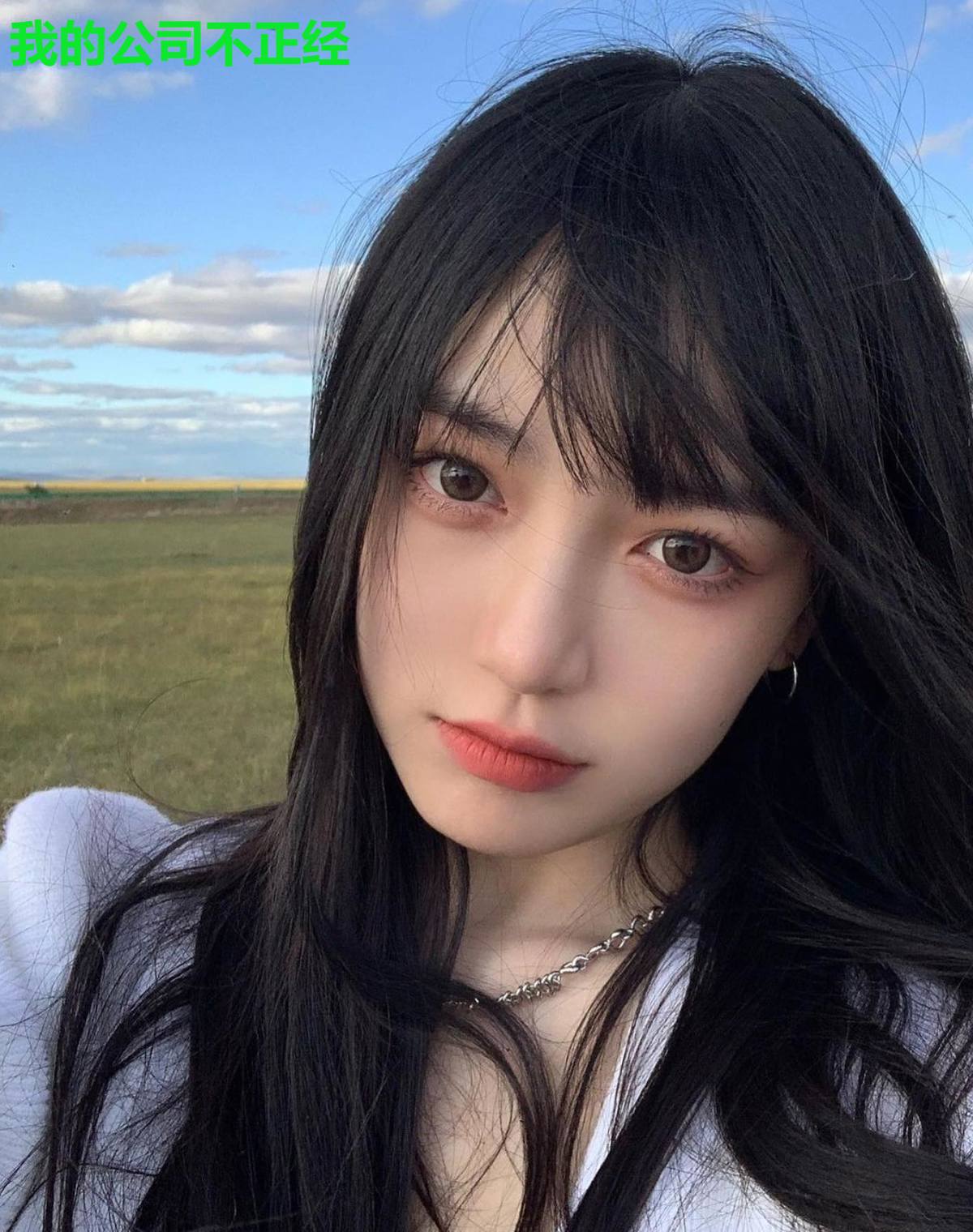 我的公司不正经