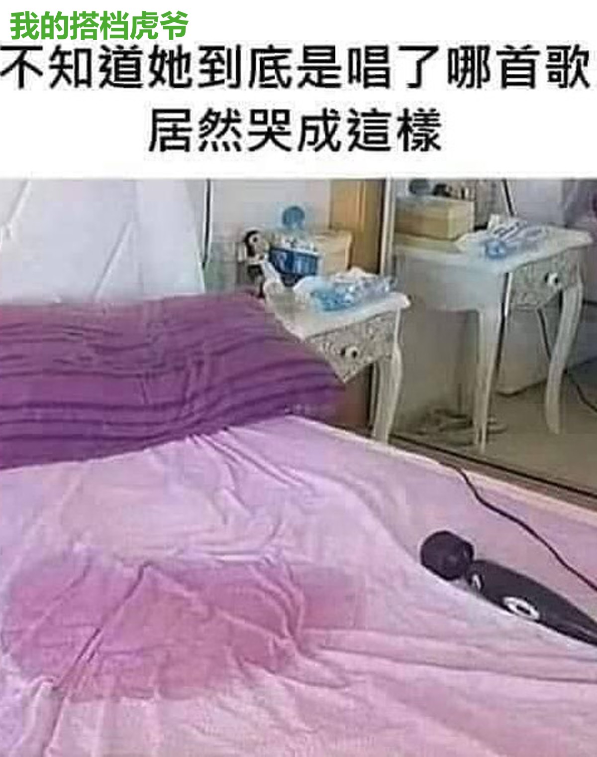 我的搭档虎爷