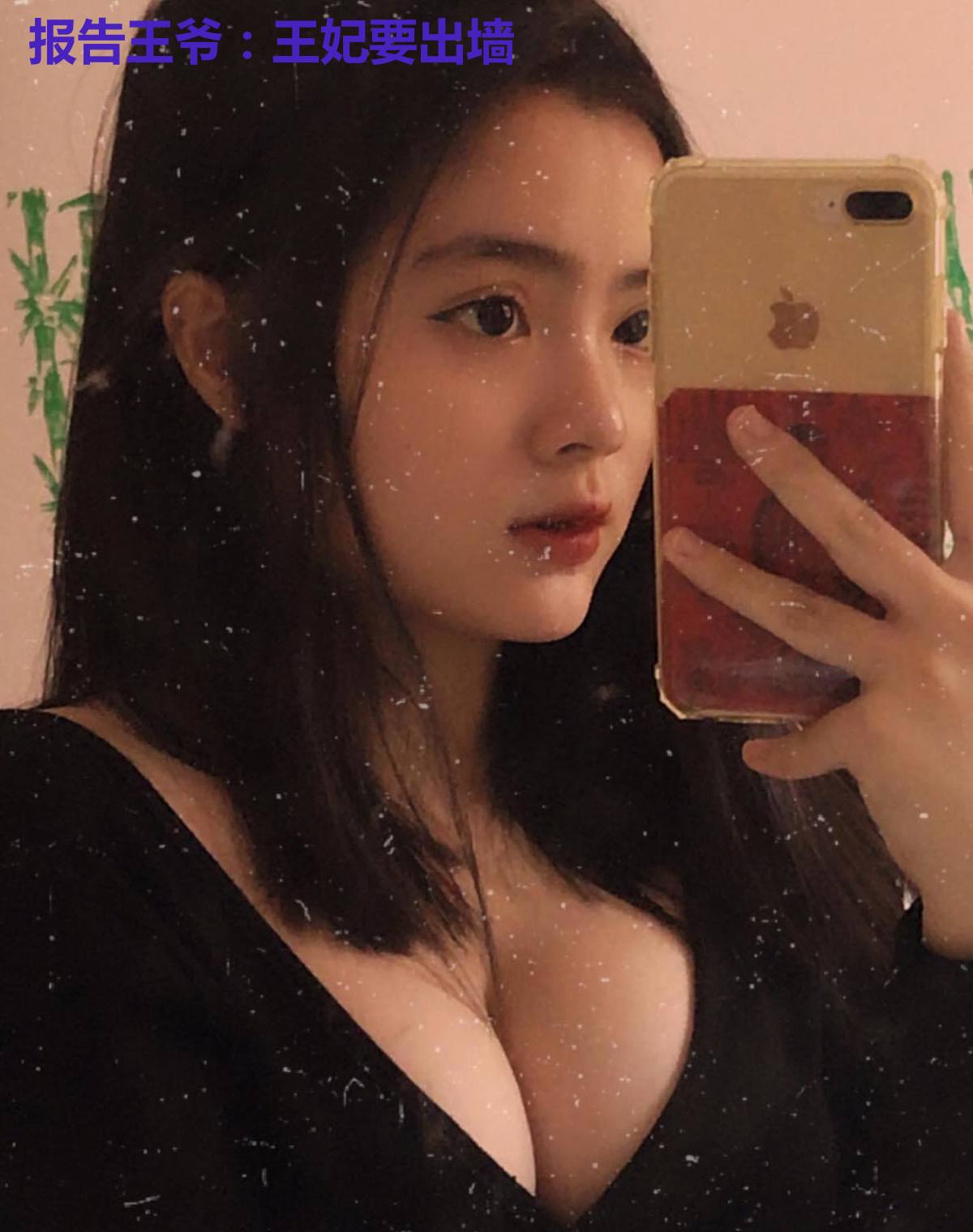 报告王爷:王妃要出墙