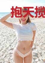 抱天揽月传