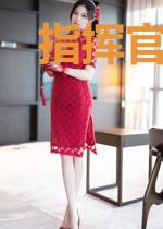 指挥官的碧蓝之旅