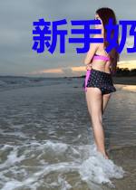新手奶爸龙凤宝
