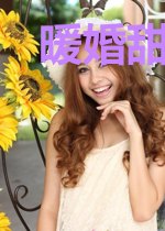 暖婚甜妻：高冷男神强势宠