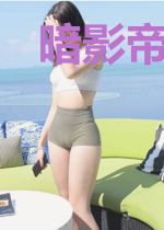 暗影帝统将