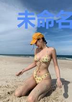 未命名案件