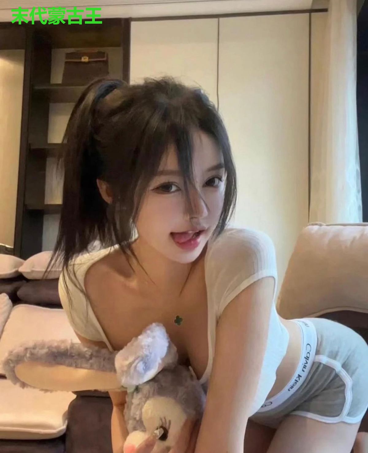 末代蒙古王