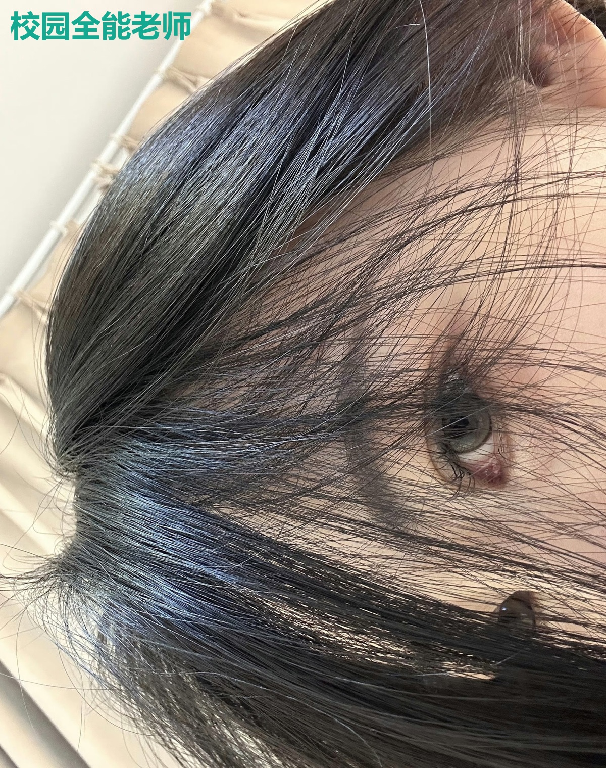 校园全能老师