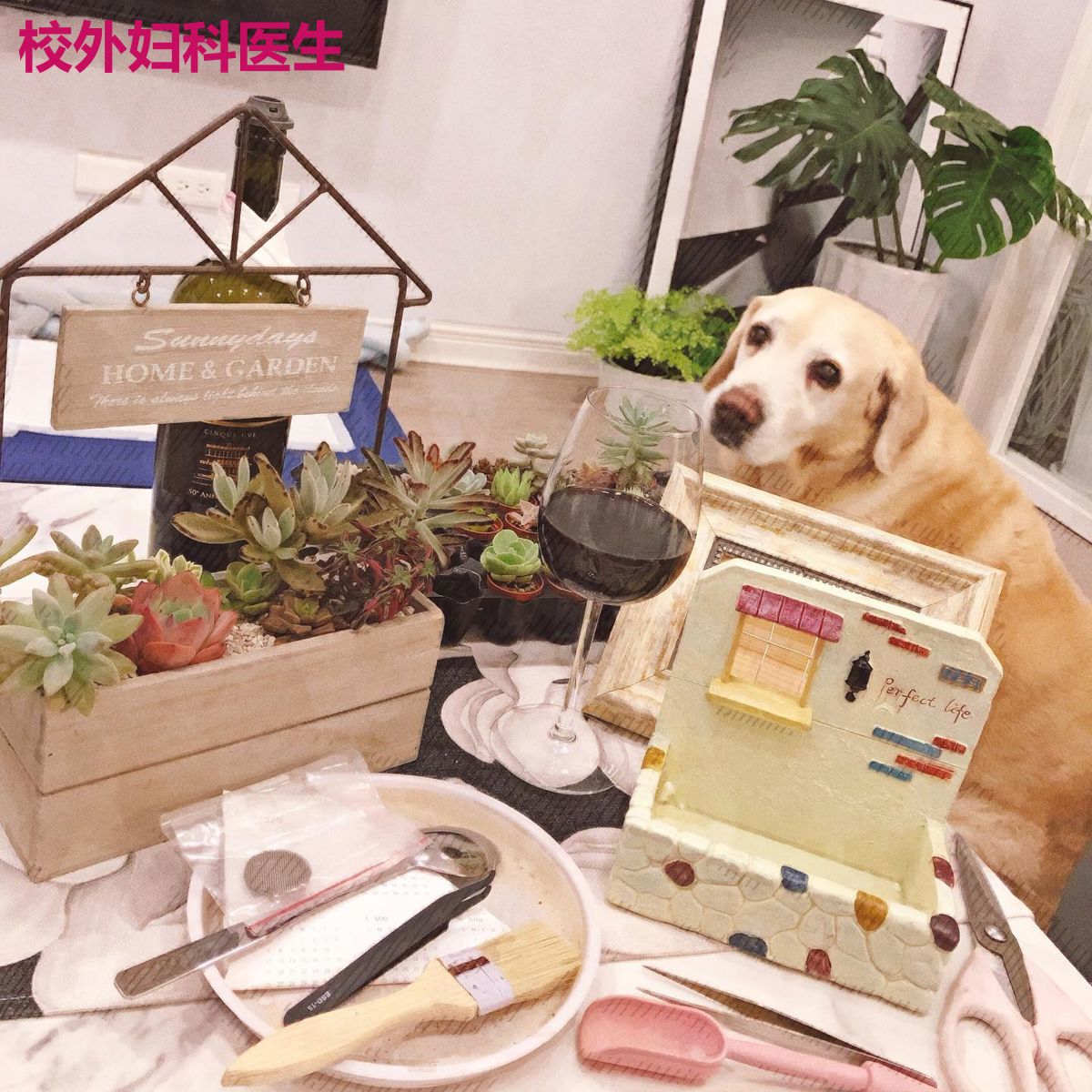 校外妇科医生