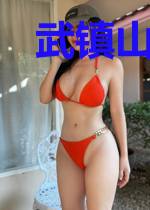 武镇山河九万里