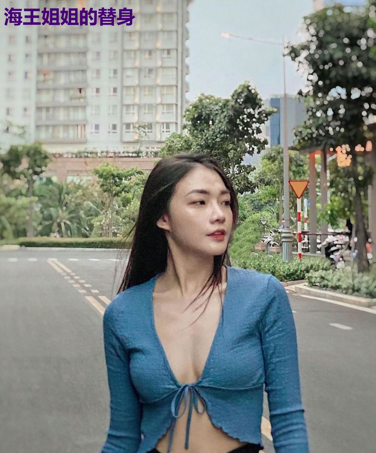 海王姐姐的替身