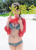 火落金风高