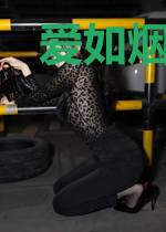 爱如烟火般璨烂夏初言
