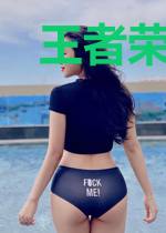 王者荣耀之黑骑时代