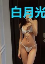白月光只想领盒饭