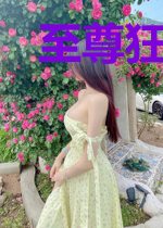 至尊狂爸林凡