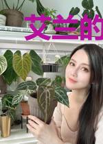 艾兰的探险笔记