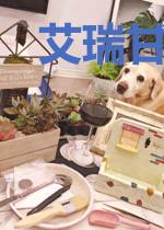 艾瑞甘特传