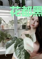 花都黑客韩东
