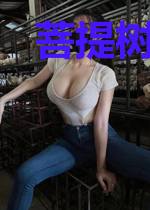 菩提树下的猫