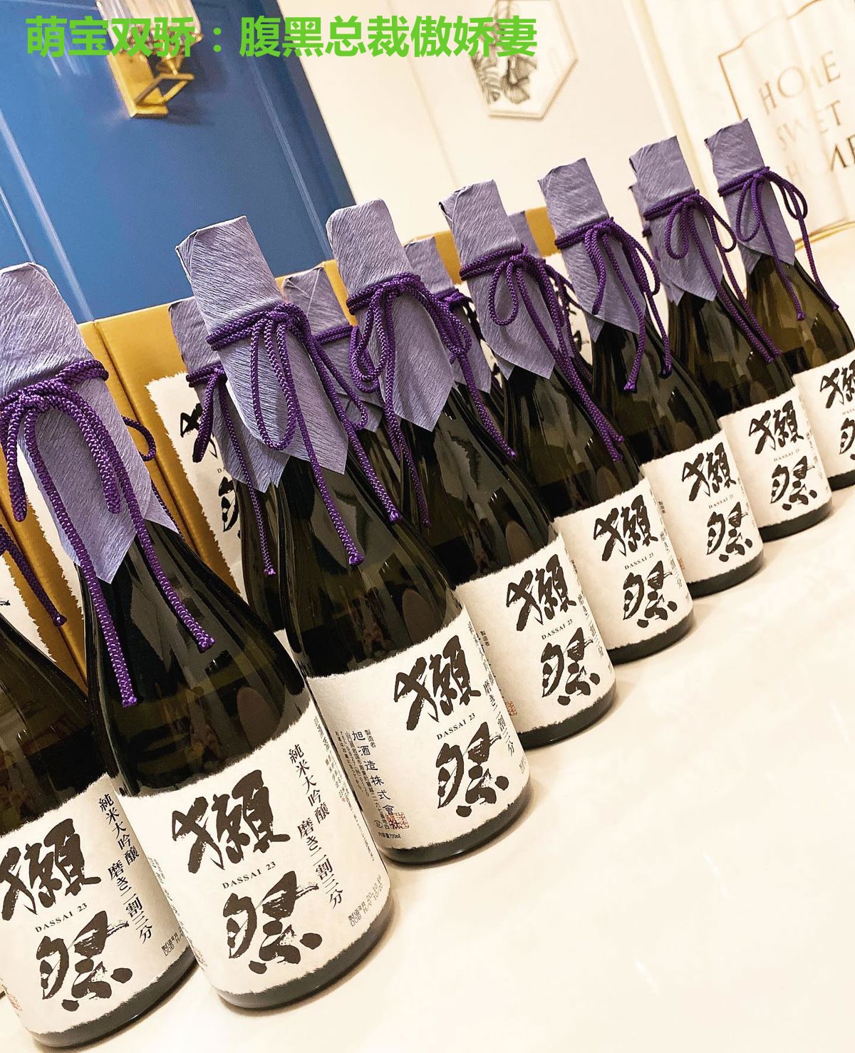 萌宝双骄:腹黑总裁傲娇妻