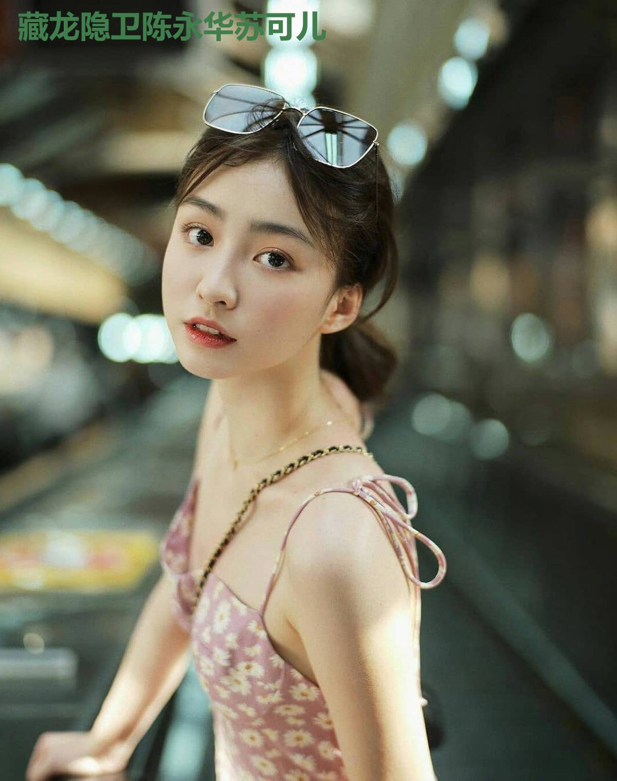 藏龙隐卫陈永华苏可儿
