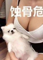 蚀骨危情:薛少,求放过