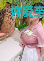 许爱至荒年