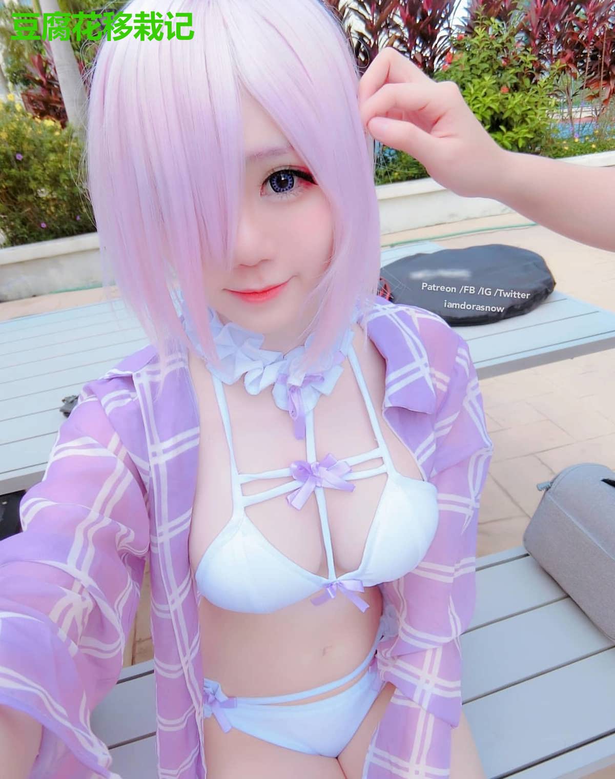 豆腐花移栽记