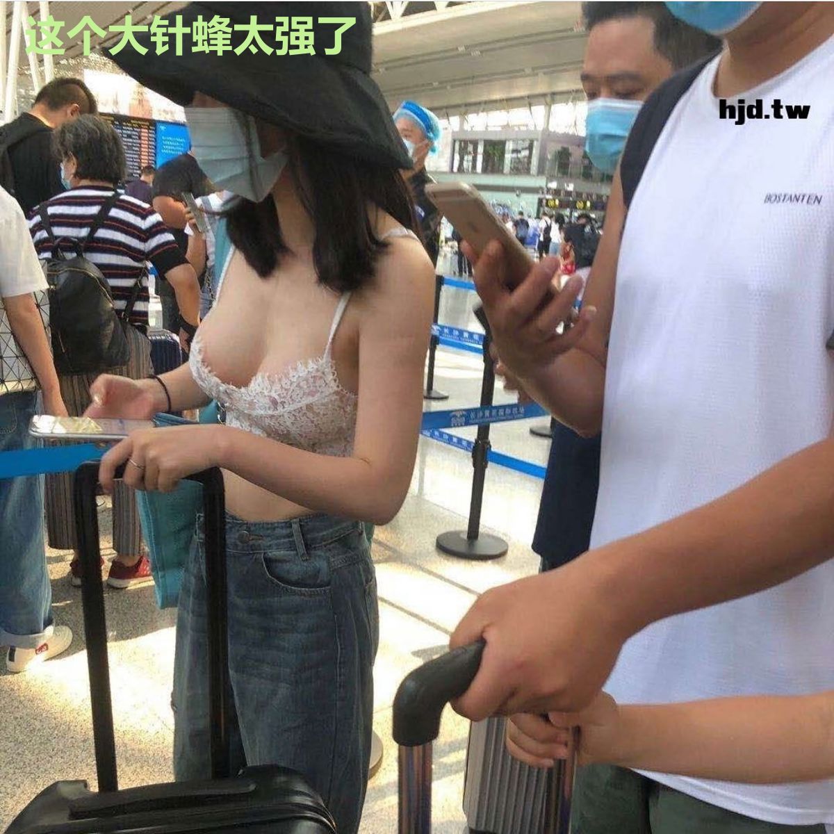 这个大针蜂太强了