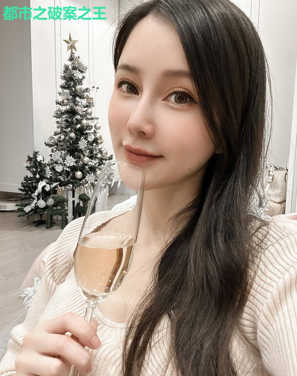 都市之破案之王