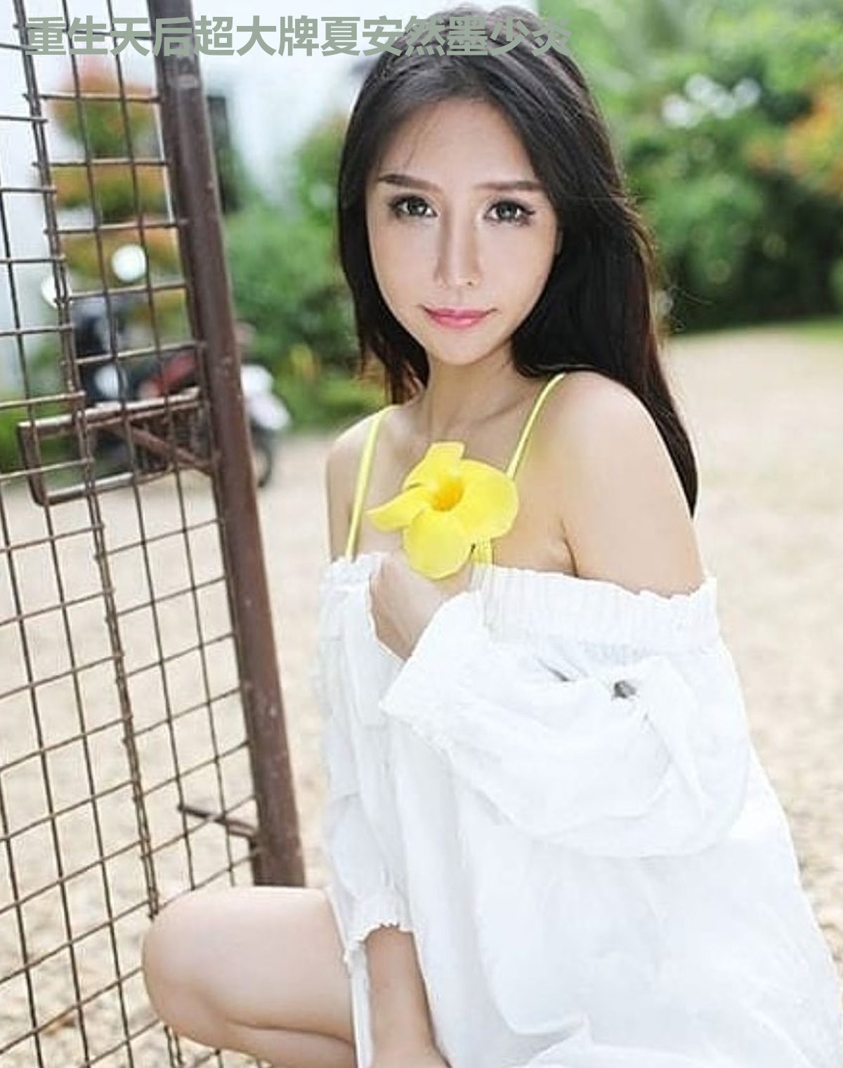 重生天后超大牌夏安然墨少炎