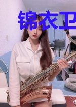 锦衣卫撩汉手册