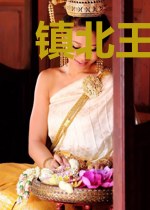 镇北王的神医弃妃柳纤楚