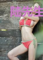 陆先生情有独钟