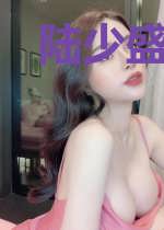 陆少盛宠：娇妻不要走