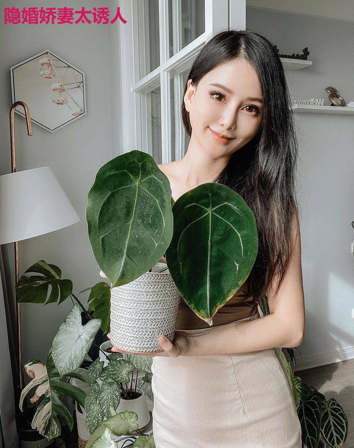 隐婚娇妻太诱人