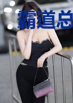 霸道总裁:护妻狂魔